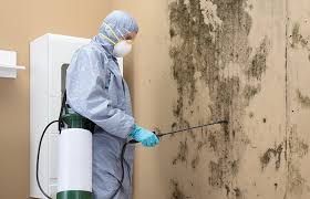 Best HVAC Mold Inspection and Cleaning  in Laurens, SC